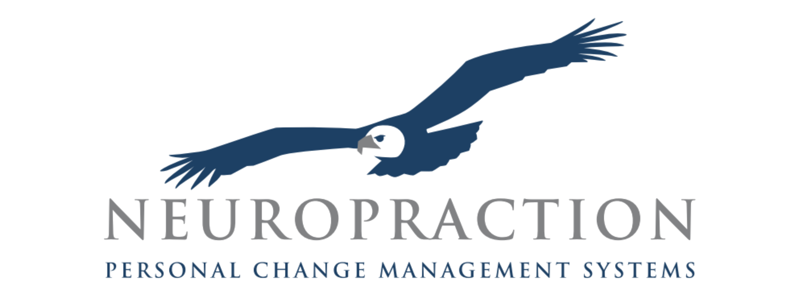 Neuropraction